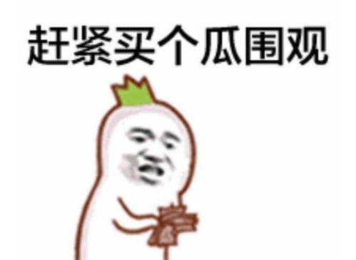 吃瓜群众小助理是谁啊视频,网络红人的崛起之路