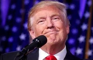 吃瓜群众大彪哥视频大全,揭秘娱乐圈幕后故事