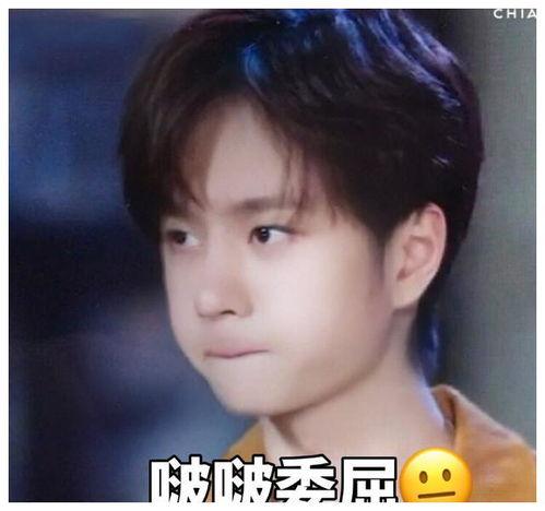 王一博看吃瓜视频,揭秘娱乐圈幕后故事