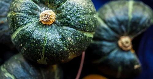 胖五声控吃瓜视频,揭秘网红美食背后的故事