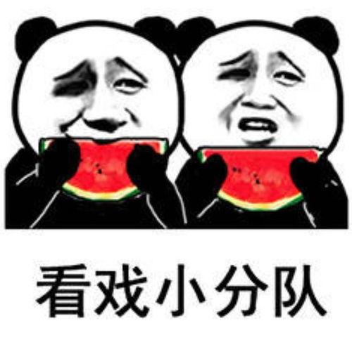 吃瓜表情包拍摄视频,趣味横生的短视频盛宴