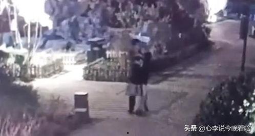 吃瓜被追三条街视频大全,吃瓜群众追星大作战，三条街狂欢现场