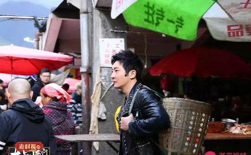 吃瓜大叔老王视频大全,揭秘娱乐圈幕后故事